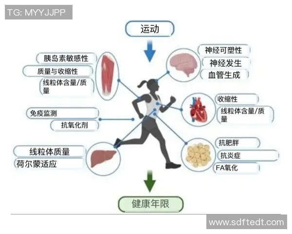 常见有氧运动种类及其对身体健康的益处与作用分析