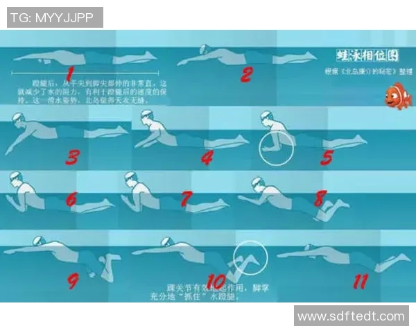 自由泳技巧提升训练计划全面指南 提升速度耐力技巧从基础到进阶全方位解析